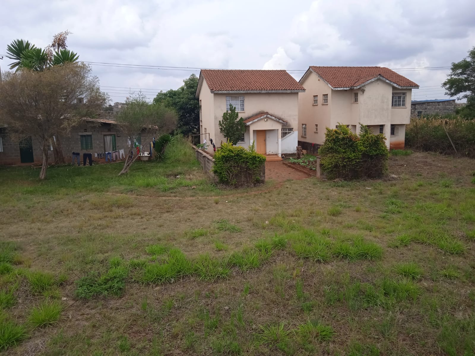 Plot Image 3